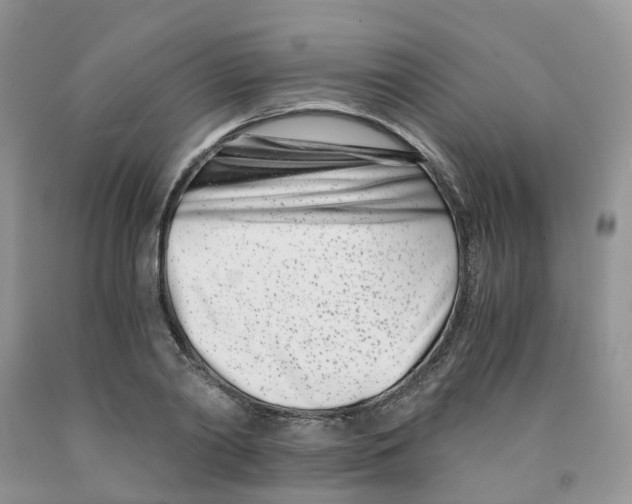 X0000091300790200709071052