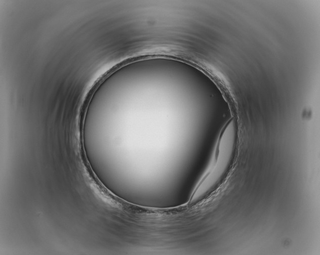 X0000091300792200709071052