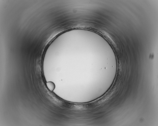 X0000091300794200709071052