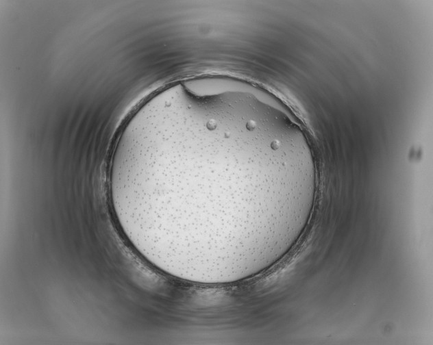 X0000091300798200709071052