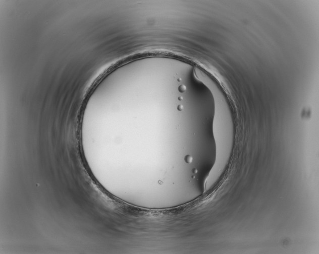 X0000091300799200709071052