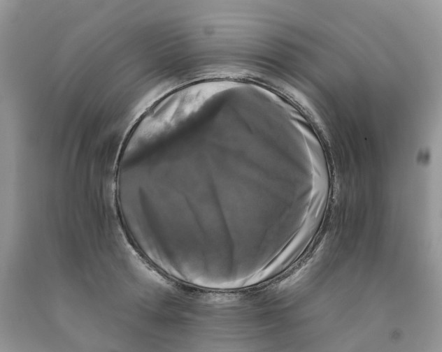 X0000091300802200709071052