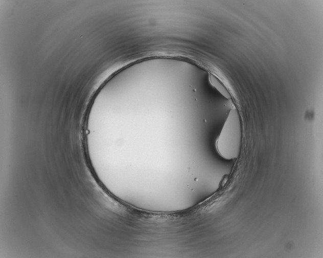 X0000091300803200709071052