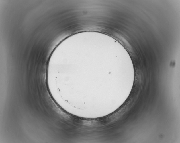 X0000091300804200709071052