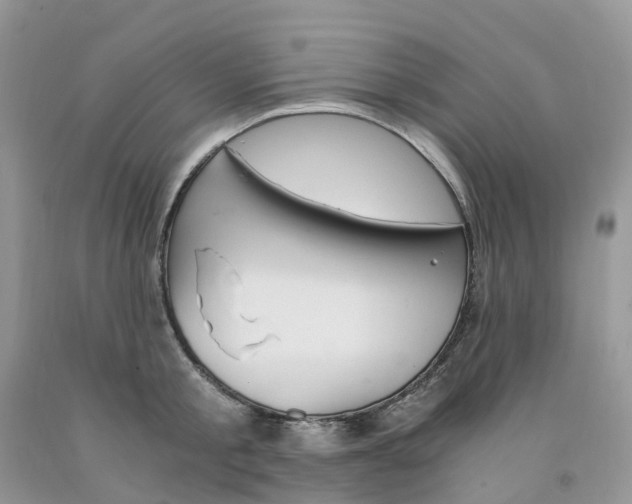 X0000091300805200709071052