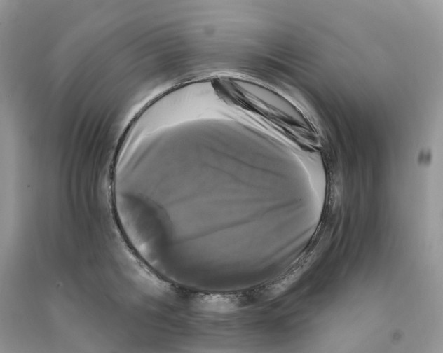 X0000091300806200709071052