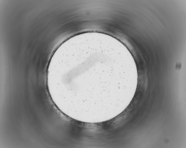 X0000091300807200709071052