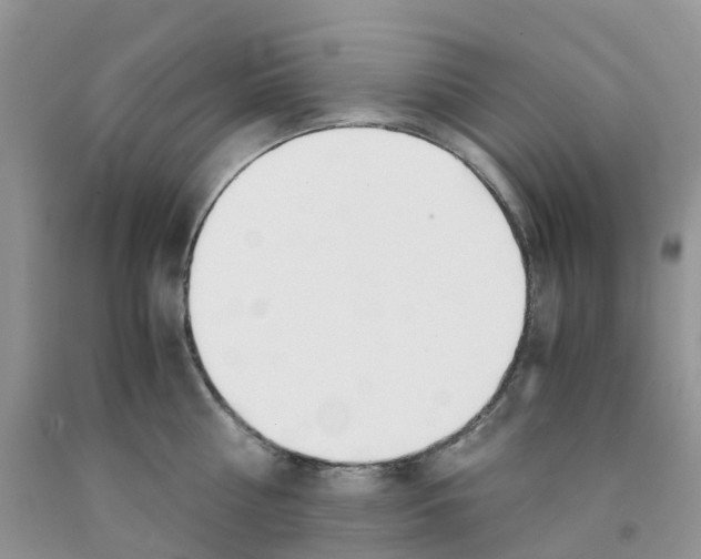 X0000091300810200709071052