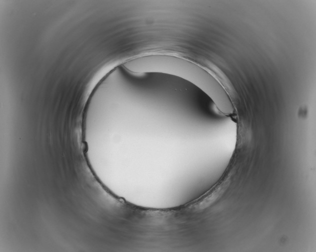 X0000091300812200709071051