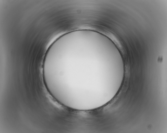 X0000091300814200709071051