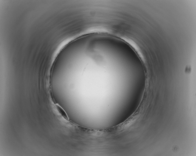 X0000091300815200709071051