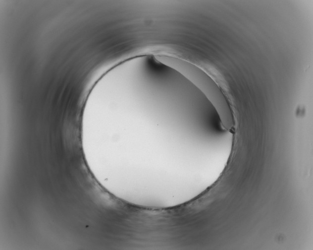 X0000091300816200709071051