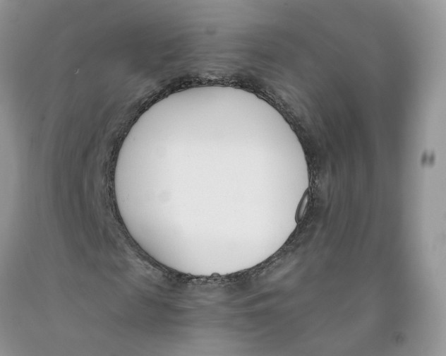 X0000091300817200709071051