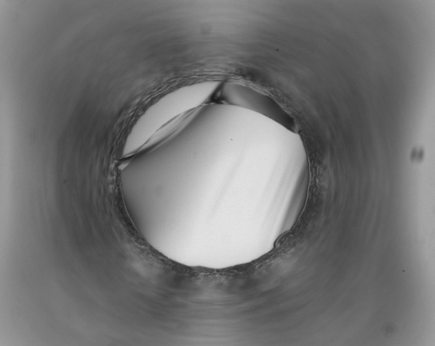 X0000091300818200709071051