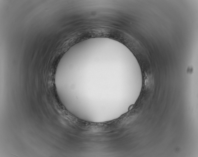 X0000091300819200709071051