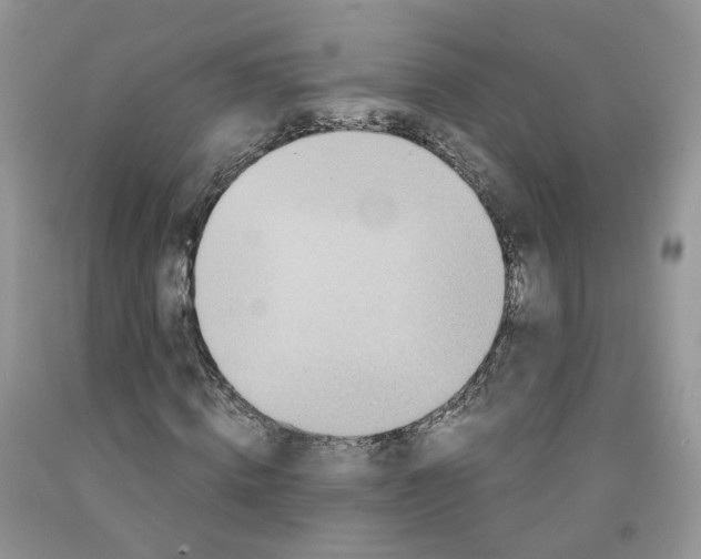 X0000091300820200709071051