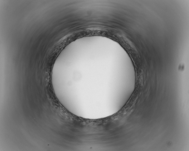 X0000091300821200709071051