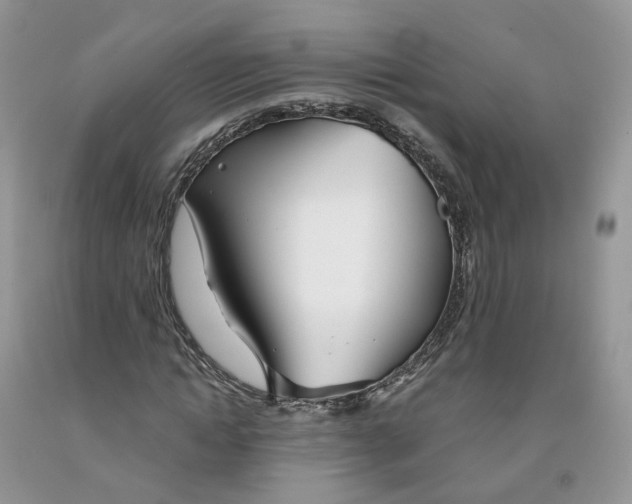 X0000091300822200709071051