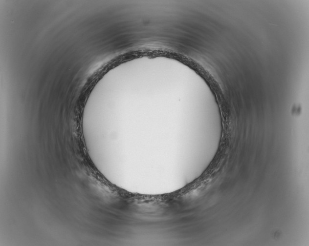 X0000091300823200709071051