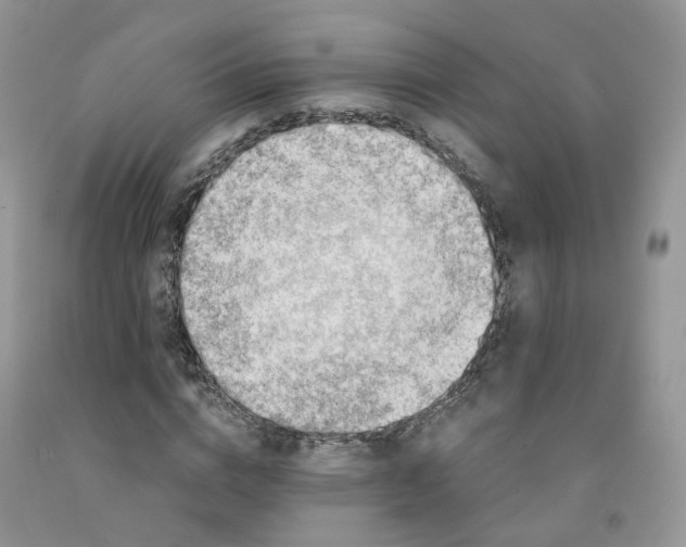 X0000091300824200709071051