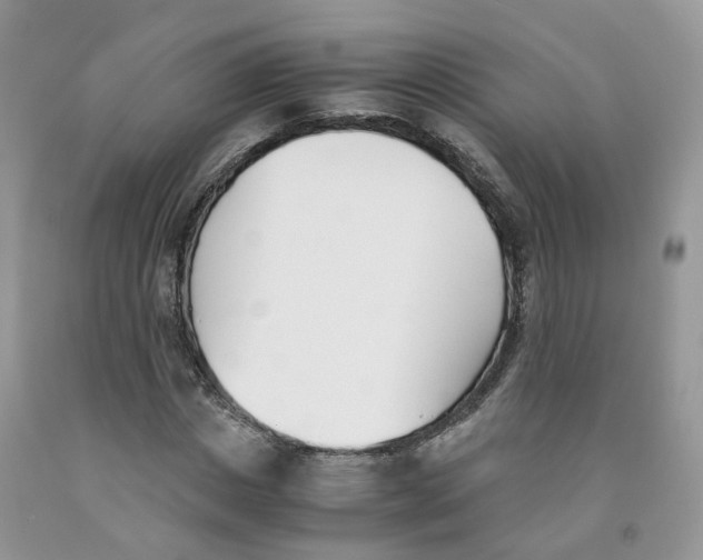 X0000091300825200709071051