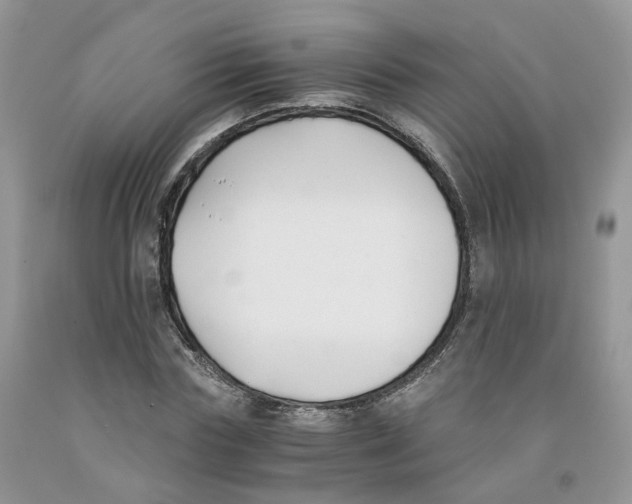 X0000091300827200709071051