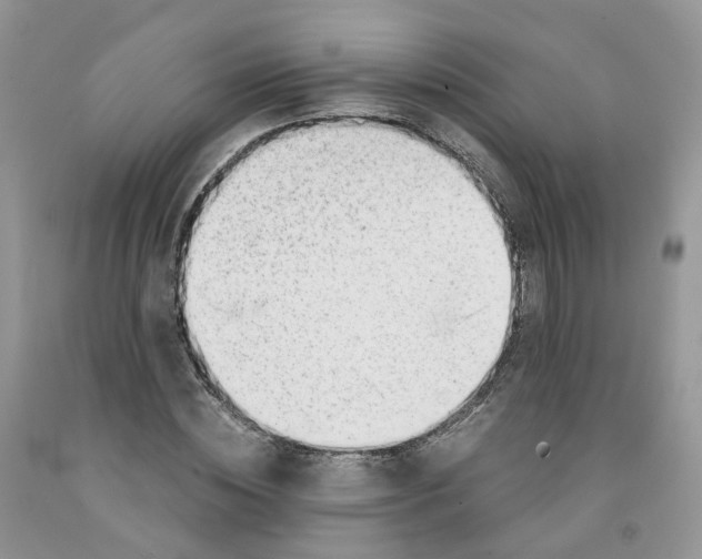 X0000091300828200709071051