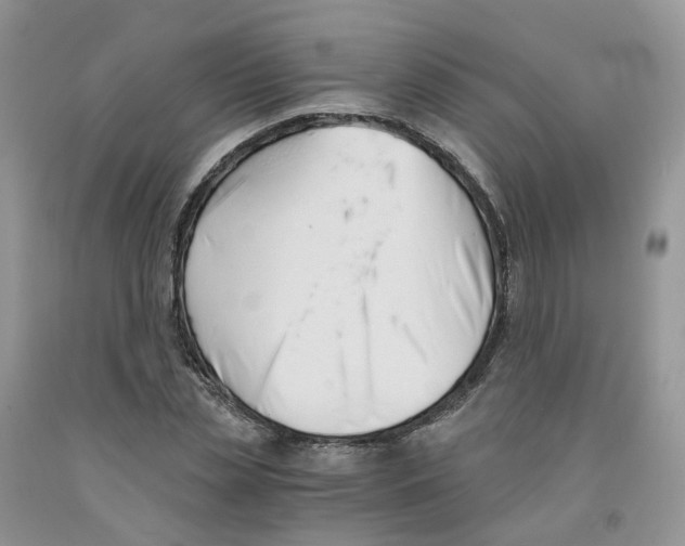 X0000091300829200709071051