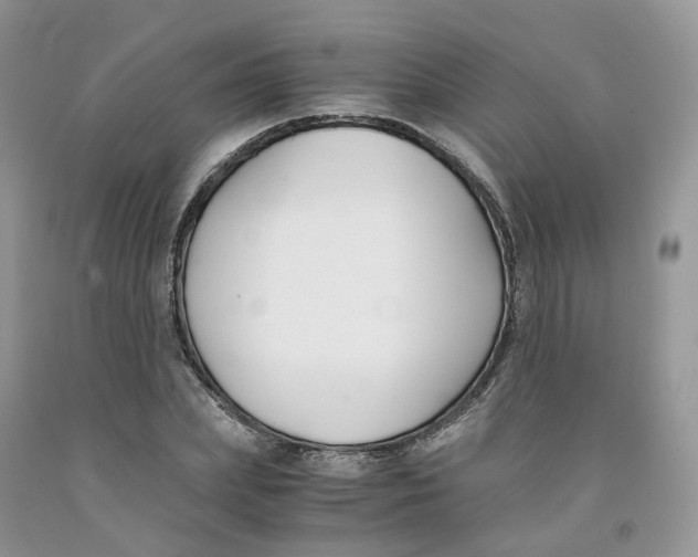 X0000091300831200709071051