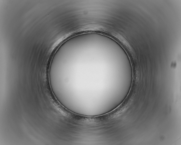 X0000091300834200709071051