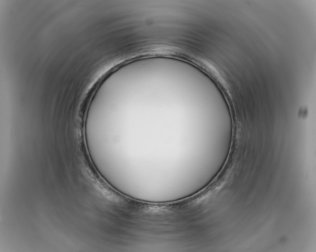 X0000091300835200709071051