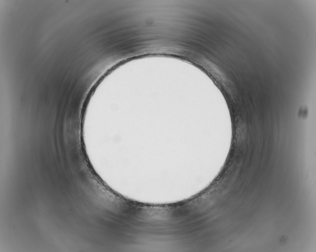 X0000091300836200709071051