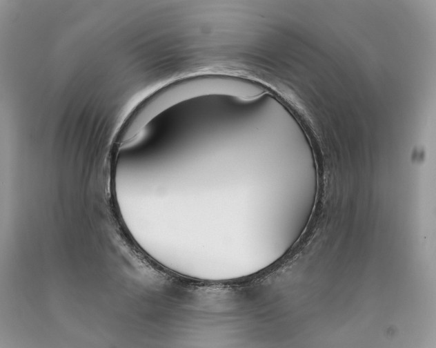 X0000091300838200709071051