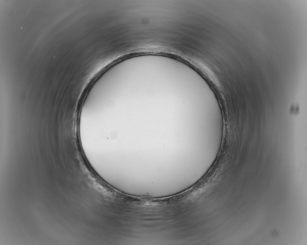 X0000091300839200709071051