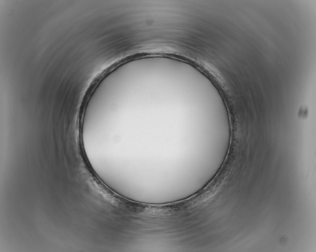 X0000091300840200709071051