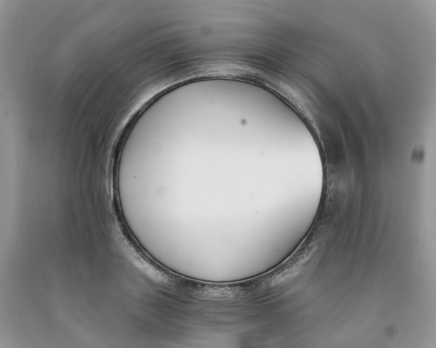 X0000091300843200709071051