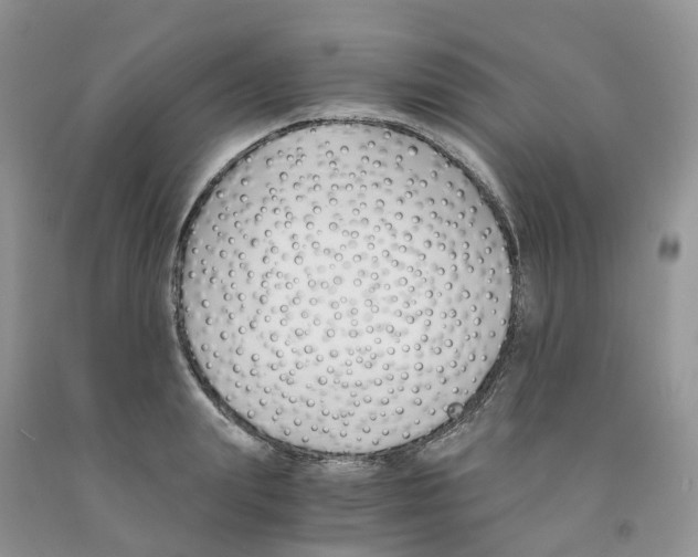 X0000091300847200709071051