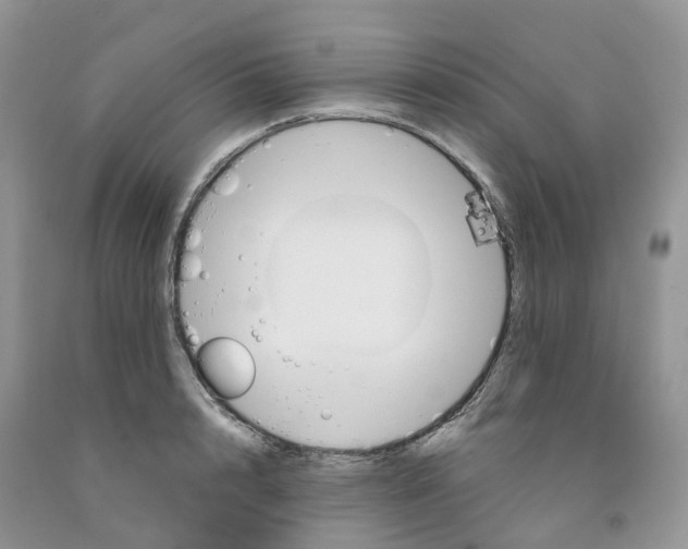 X0000091300848200709071051