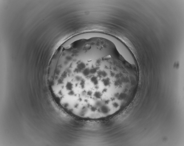 X0000091300850200709071051