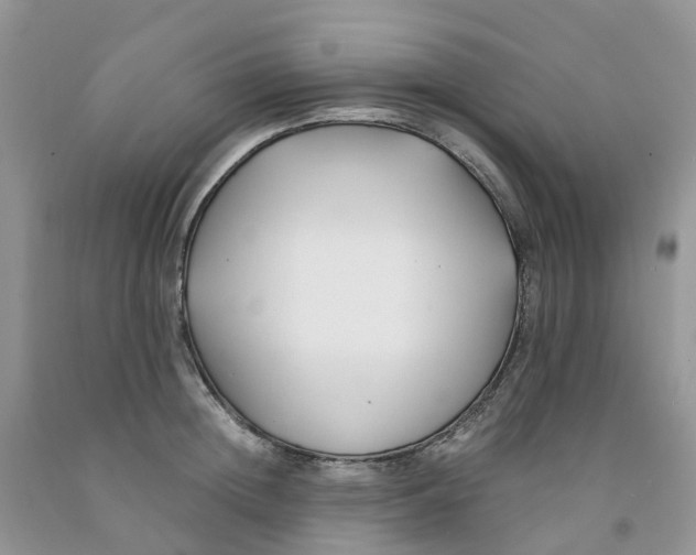 X0000091300852200709071051