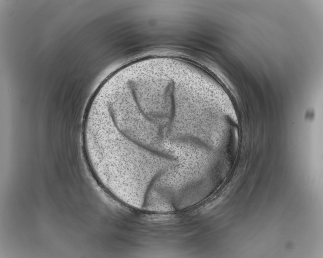 X0000091300853200709071051