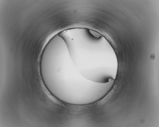 X0000091300854200709071051