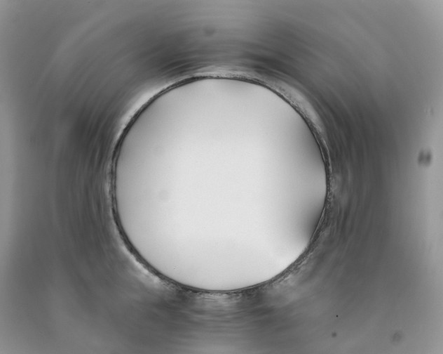 X0000091300855200709071051