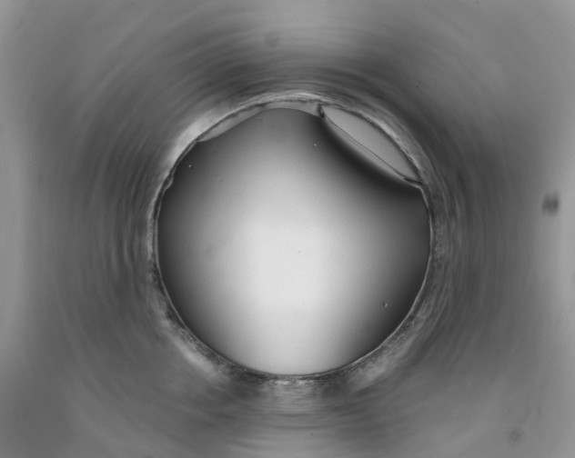 X0000091300858200709071051