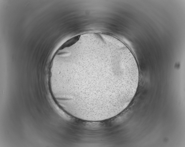 X0000091300859200709071051