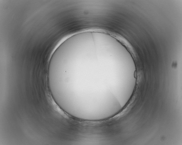 X0000091300860200709071051