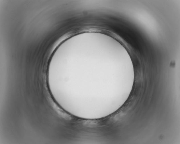 X0000091300861200709071051