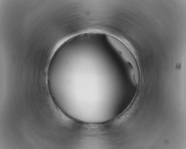 X0000091300862200709071051