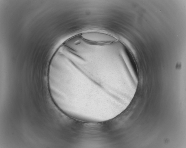 X0000091300863200709071051