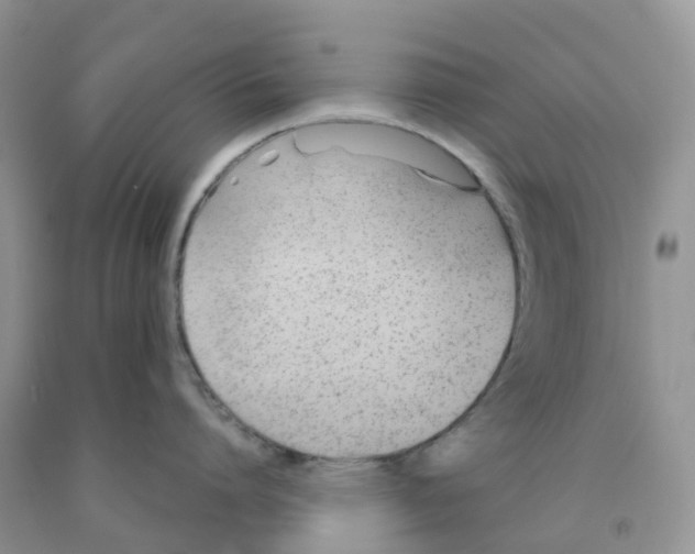 X0000091300864200709071051